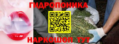 СК Обнинск