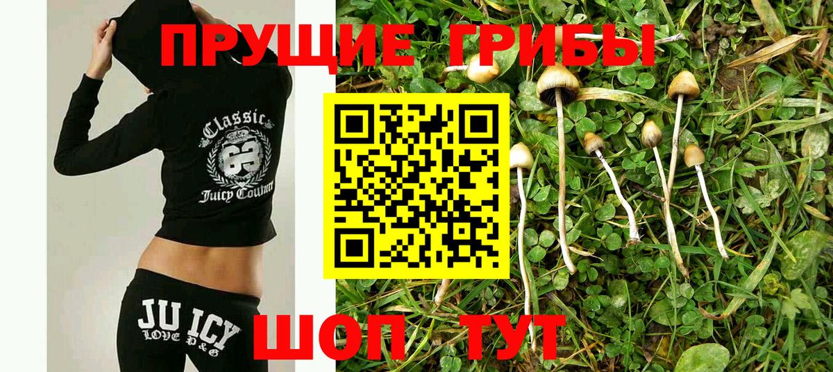 Галлюциногенные грибы ЛСД Нижний Новгород